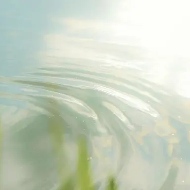 Profile image of 예엥