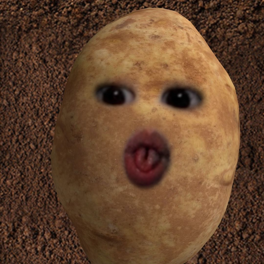 갠용 대표 이미지