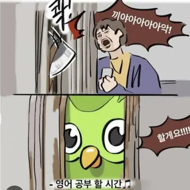 Profile image of 듀오링고
