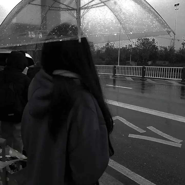 PureSnake6735의 이 윤