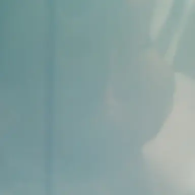Profile image of 박잠뜰