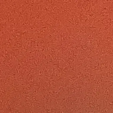 Profile image of 서라더