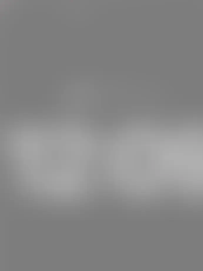 StuffyIbex8512의 自分用