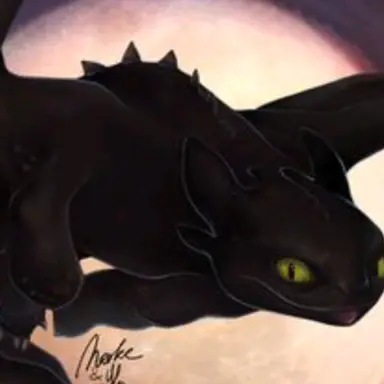 Profile image of Another night fury
