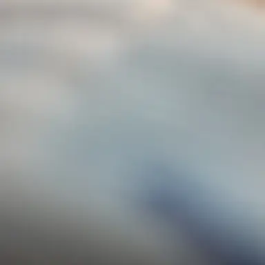 Profile image of 평학