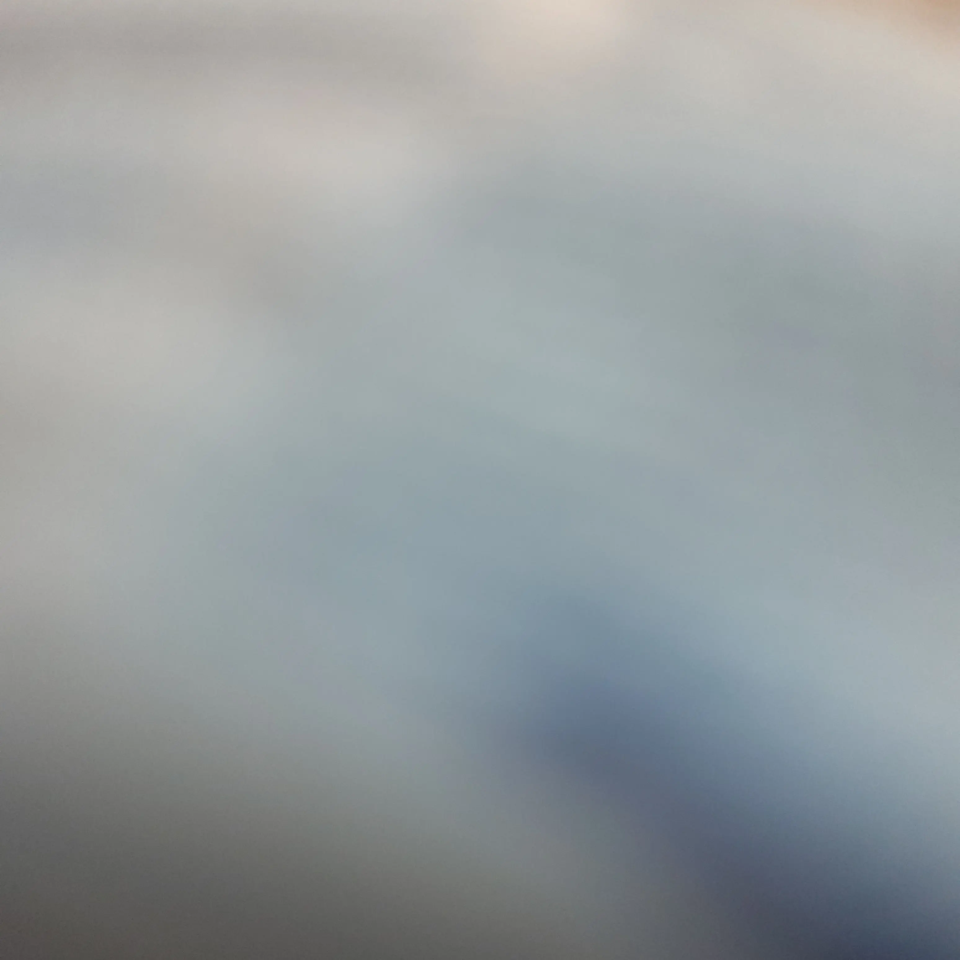 SassyBulb4245의 고고프렌즈 여우 오겜