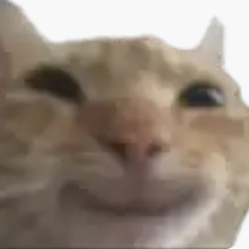 류가윤