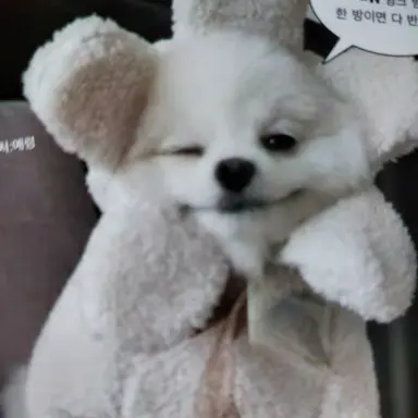 Profile image of 멜로우