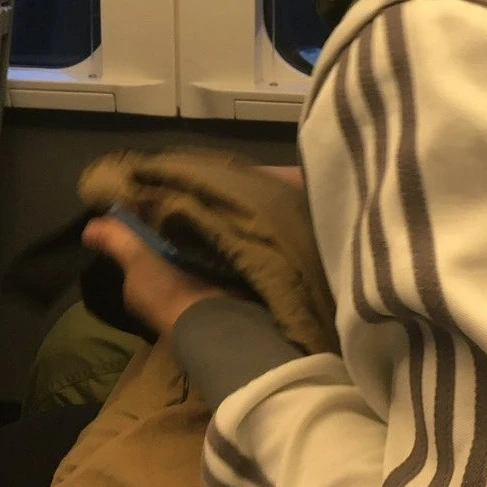 전이정