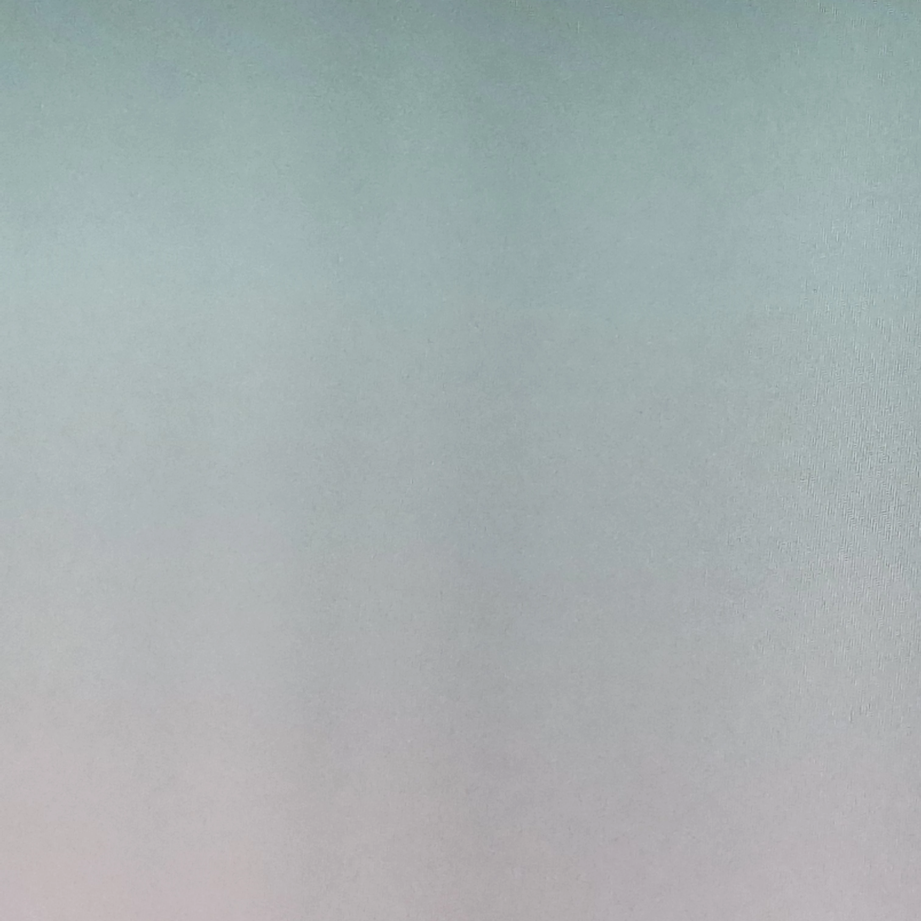 정공룡