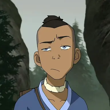 Profile image of Sokka