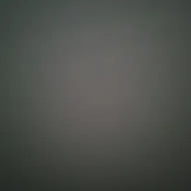 Profile image of 비룡