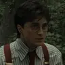 Profile image of Harry