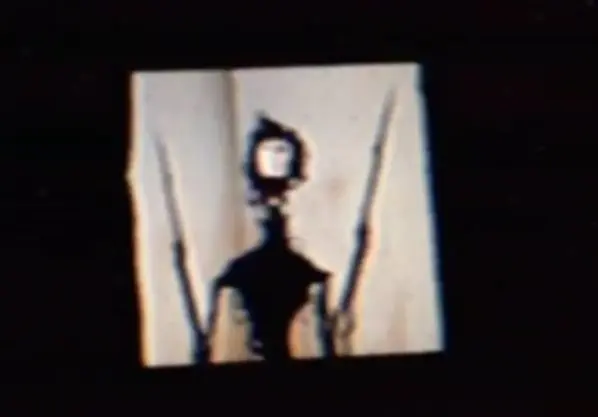Profile image of 로커스트