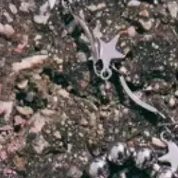 RipeStock0603의 이규혁