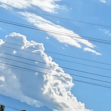 Profile image of すとぷり