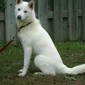 Profile image of 호두