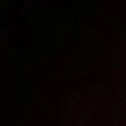 Profile image of 판다