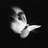 Profile image of ド・ギョンス