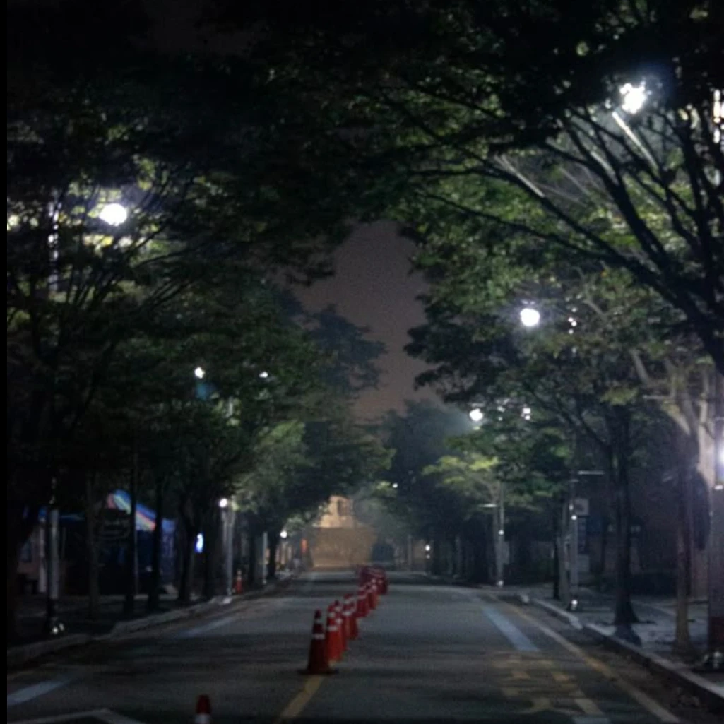 정공룡