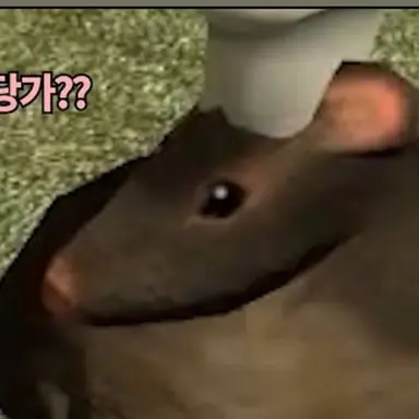 Profile image of 적설화