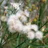 Profile image of 예엥