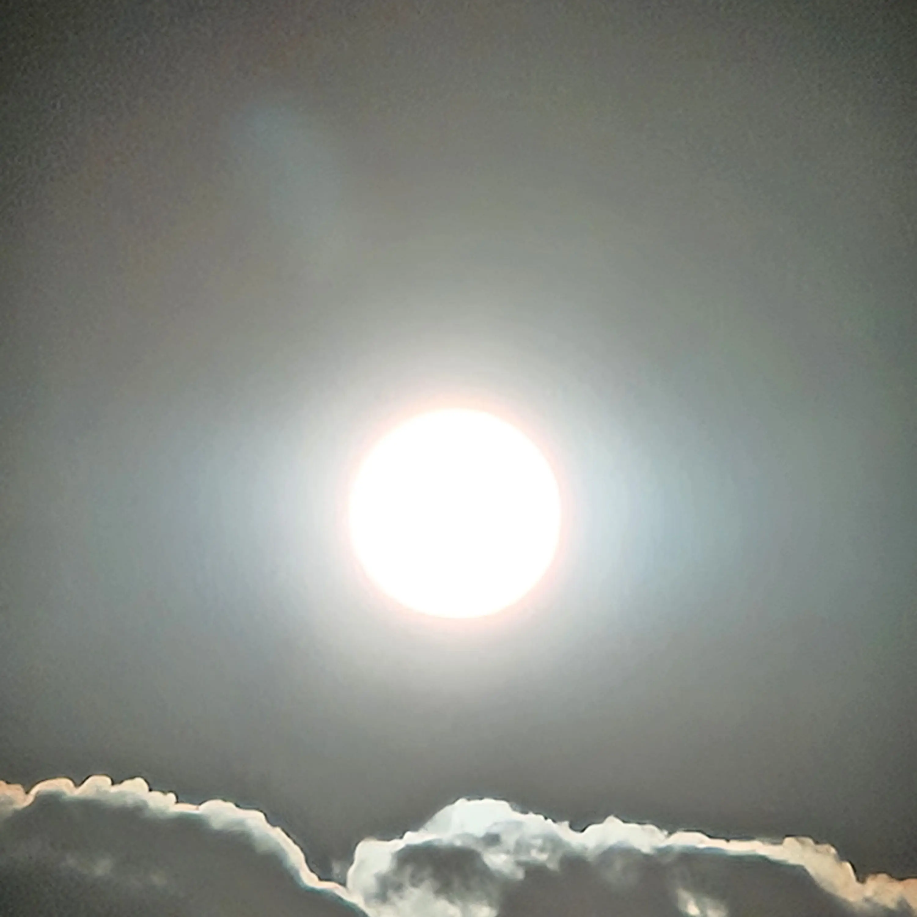 NosyWok2627의 심야괴담회6