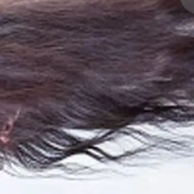 ThickLeech8596의 머리카락