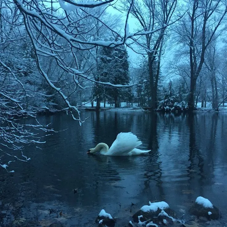 GuiltyFlour0386의 𝑿𝒊𝒏 𝒁𝒉𝒂𝒐