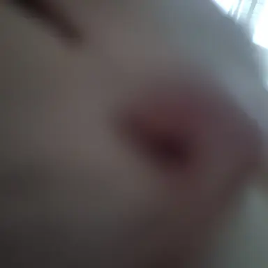 Profile image of 여우