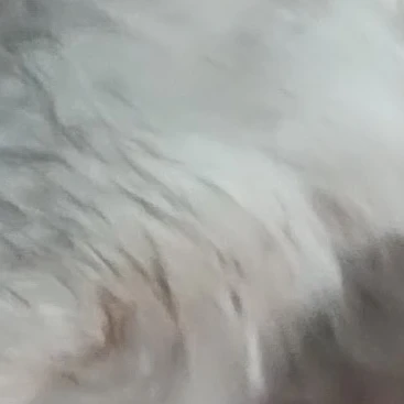 강_태_현_