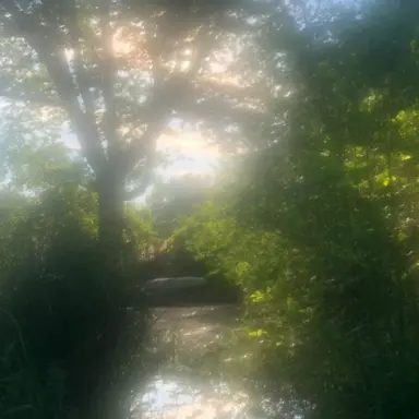 Profile image of 이자연