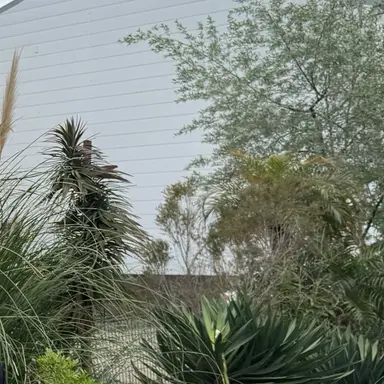 Profile image of 김동현