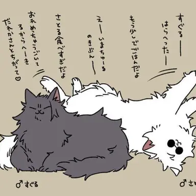 Profile image of 傑に似てる猫