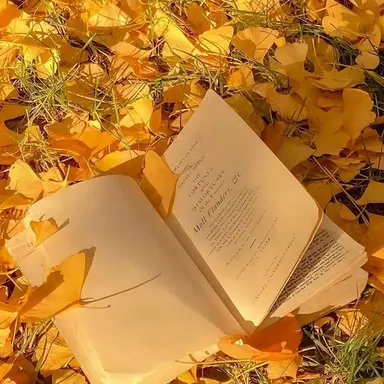 Profile image of 쪼만