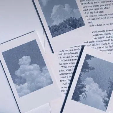 Profile image of 파이브