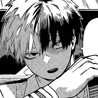 Profile image of Shoto Todoroki