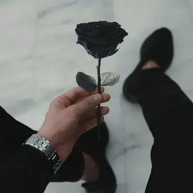 Profile image of Vincenzo