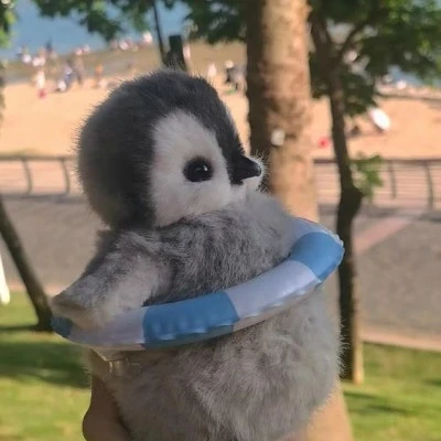 뿌띠