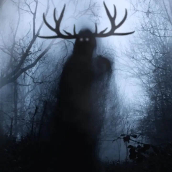 SweetNoise0800의 The wendigo