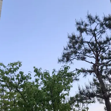 Profile image of ㄱㄱㅍㄹㅈ