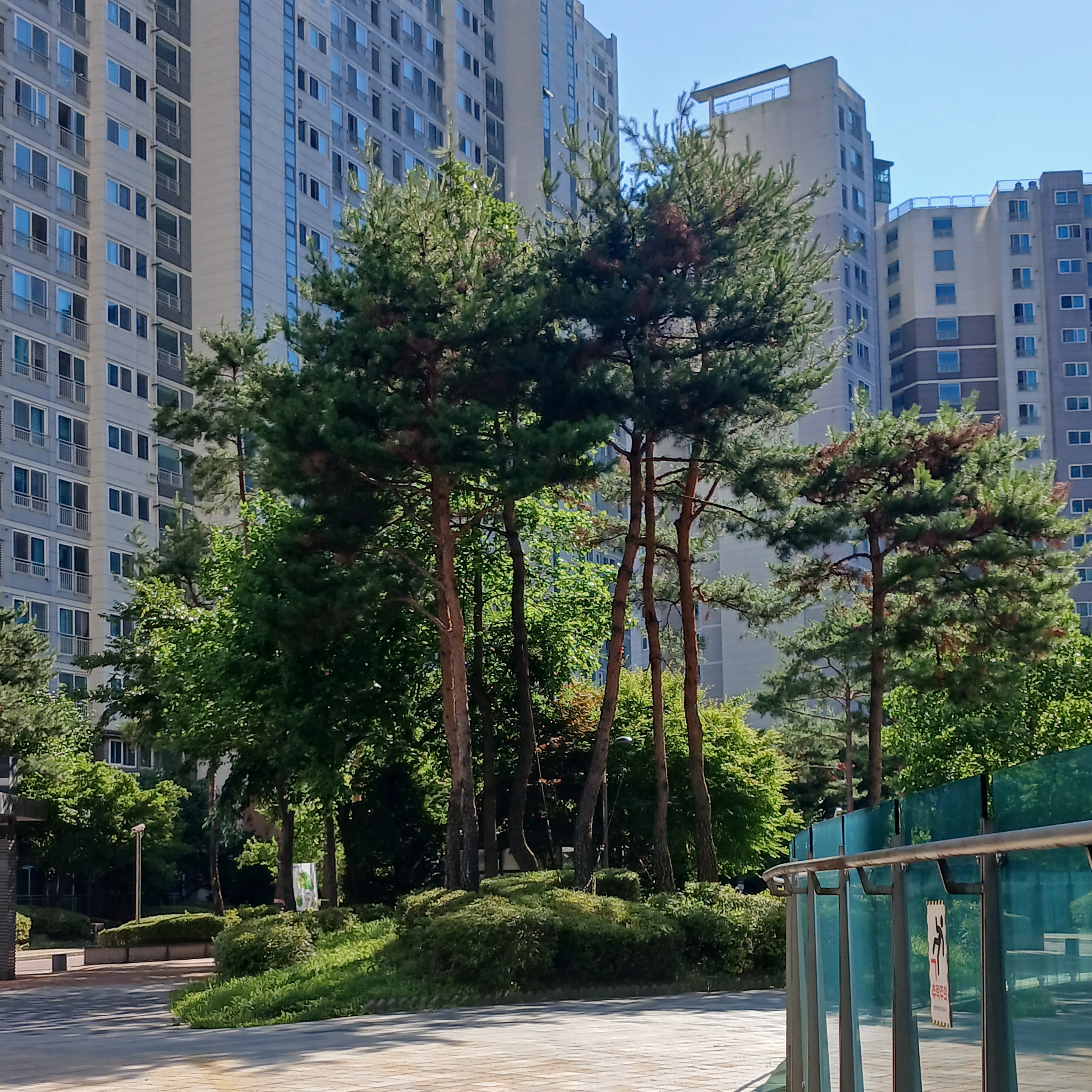 픽셀리와 여우