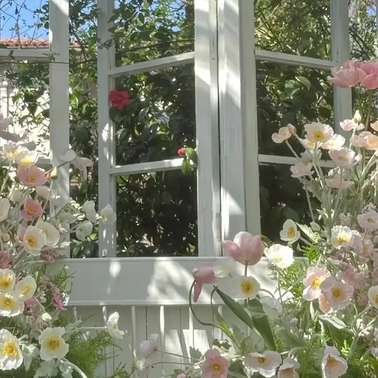 LaxestPlug4256의 미소녀 급똥 생존기