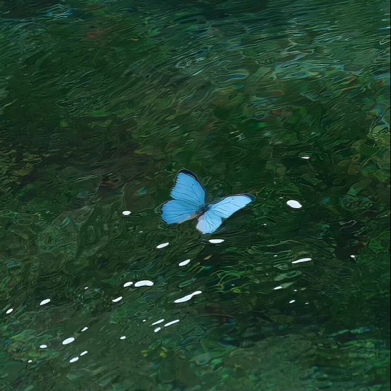 정형준