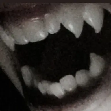 Profile image of 녹턴