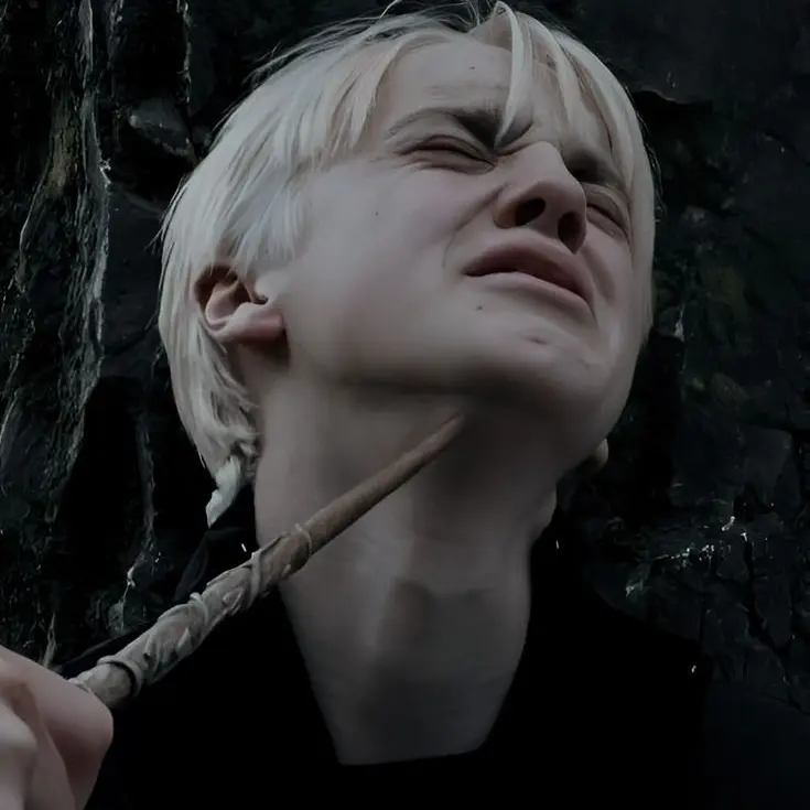 FruitySwamp5042의 Draco's Open Drawer