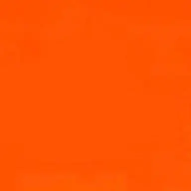 Profile image of 向井康二