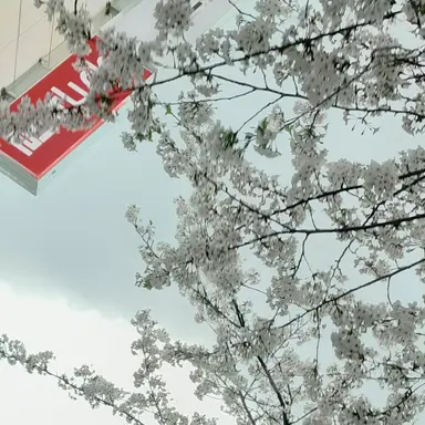 Profile image of 크래비티