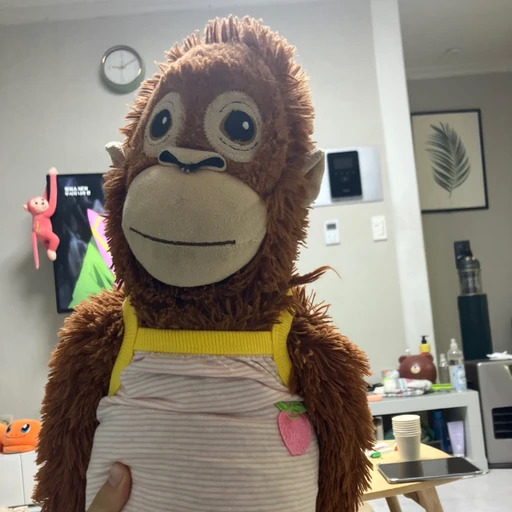 오랑이