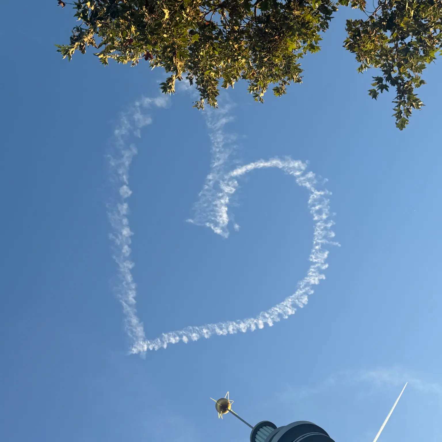 fromis_9_love의 이채영